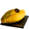 Frutta Realistica Fava di Cacao Artigianale – Dessert Gourmet al Cioccolato e Caramello Esotico